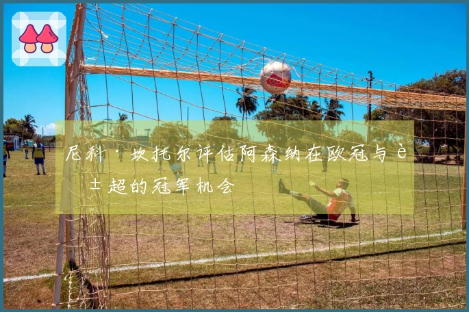 尼科·坎托尔评估阿森纳在欧冠与英超的冠军机会