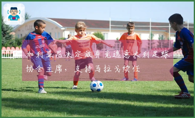 加利亚尼决定放弃竞选意大利足球协会主席，支持马拉戈续任