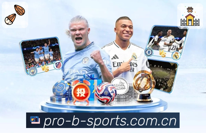 b体育平台展示图